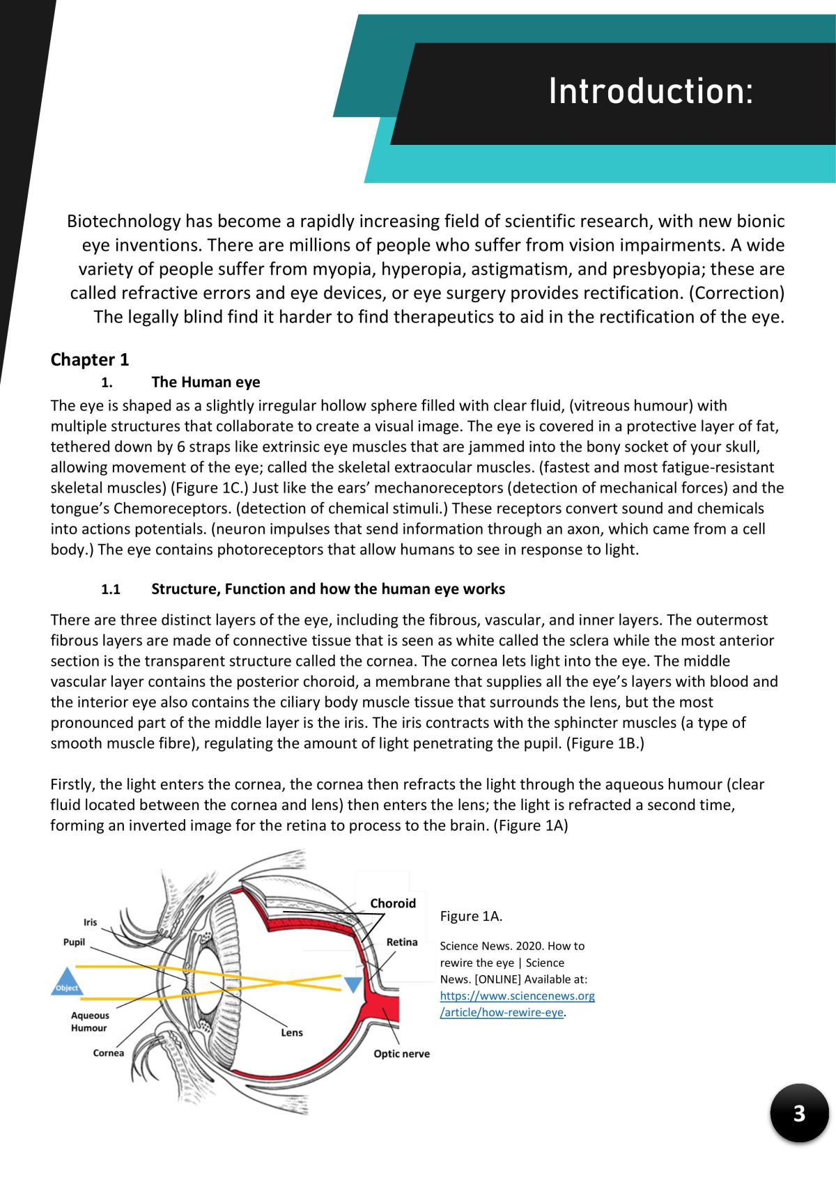 The Bionic eye SHE task  - Page 3