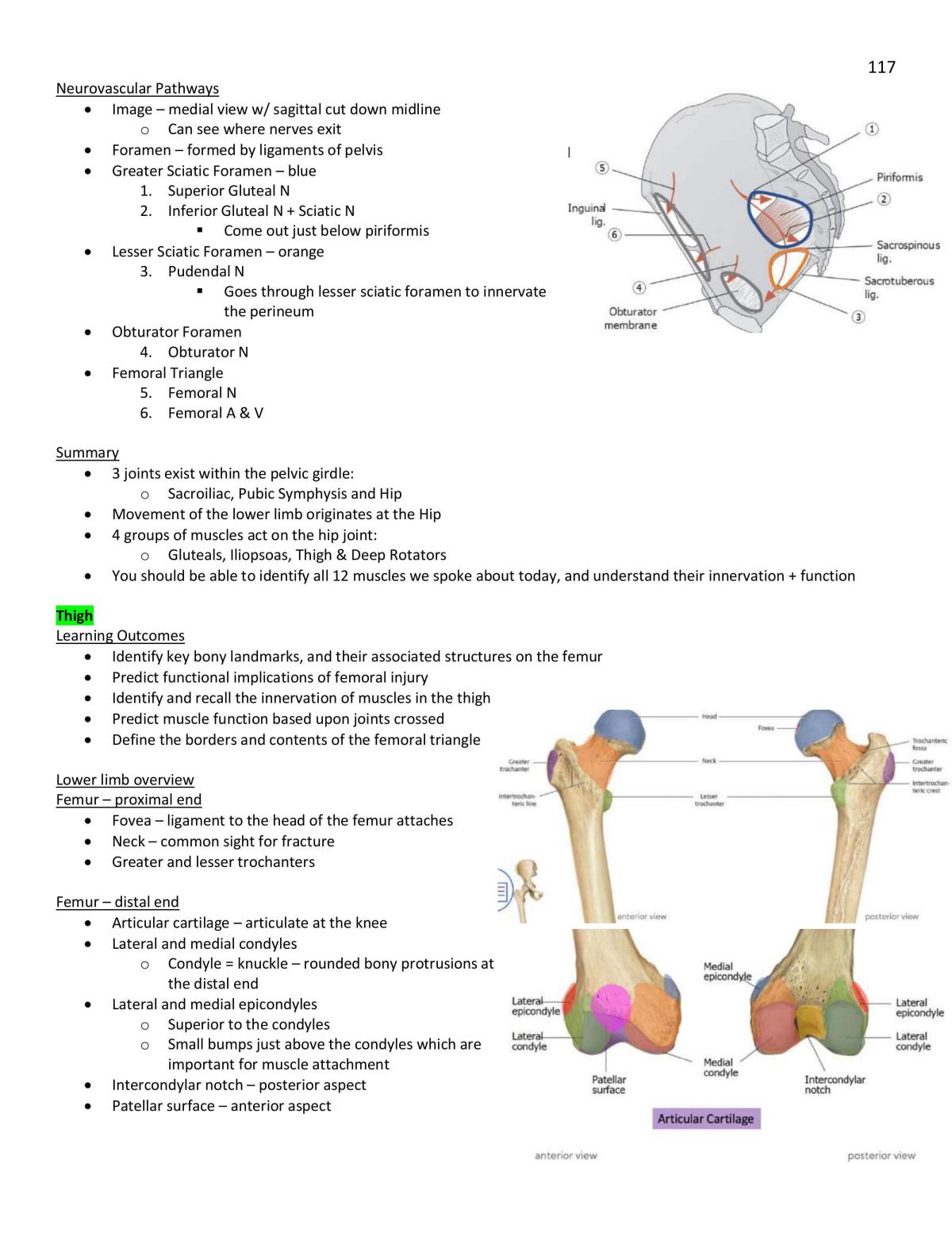 Health Science 2300 Notes - Page 117