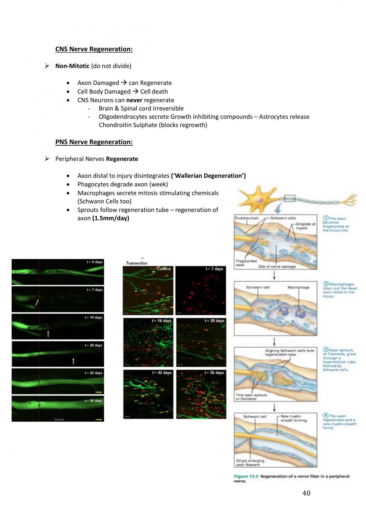 1016MSC Study Notes - Page 111