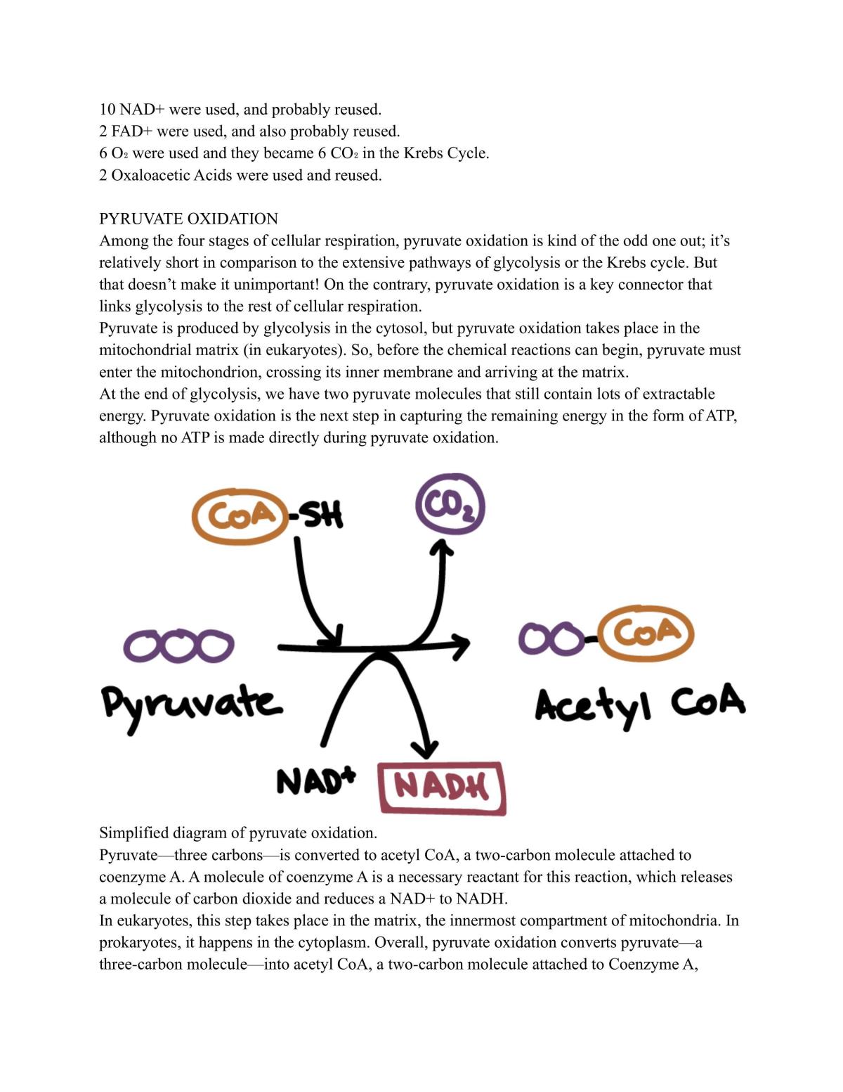 Preliminary Biology complete study notes - Page 51