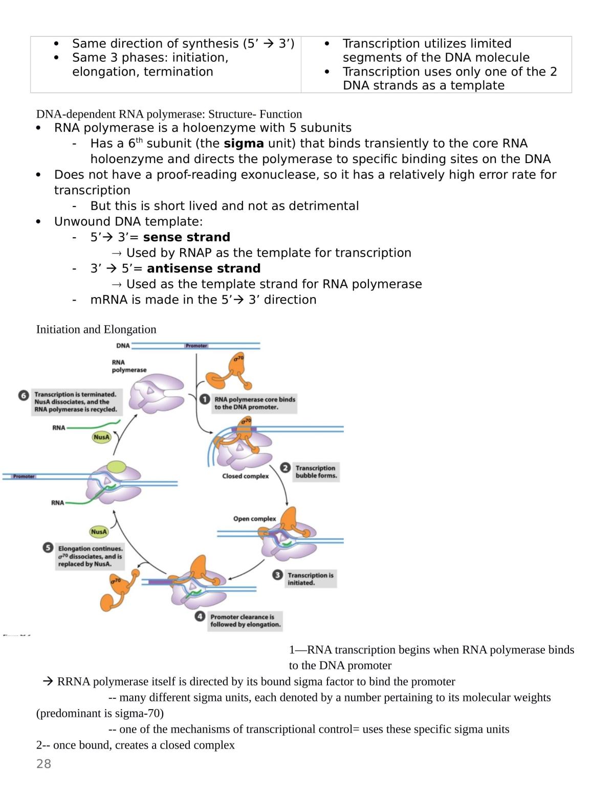 Complete Study Notes - Biochemistry - Page 28