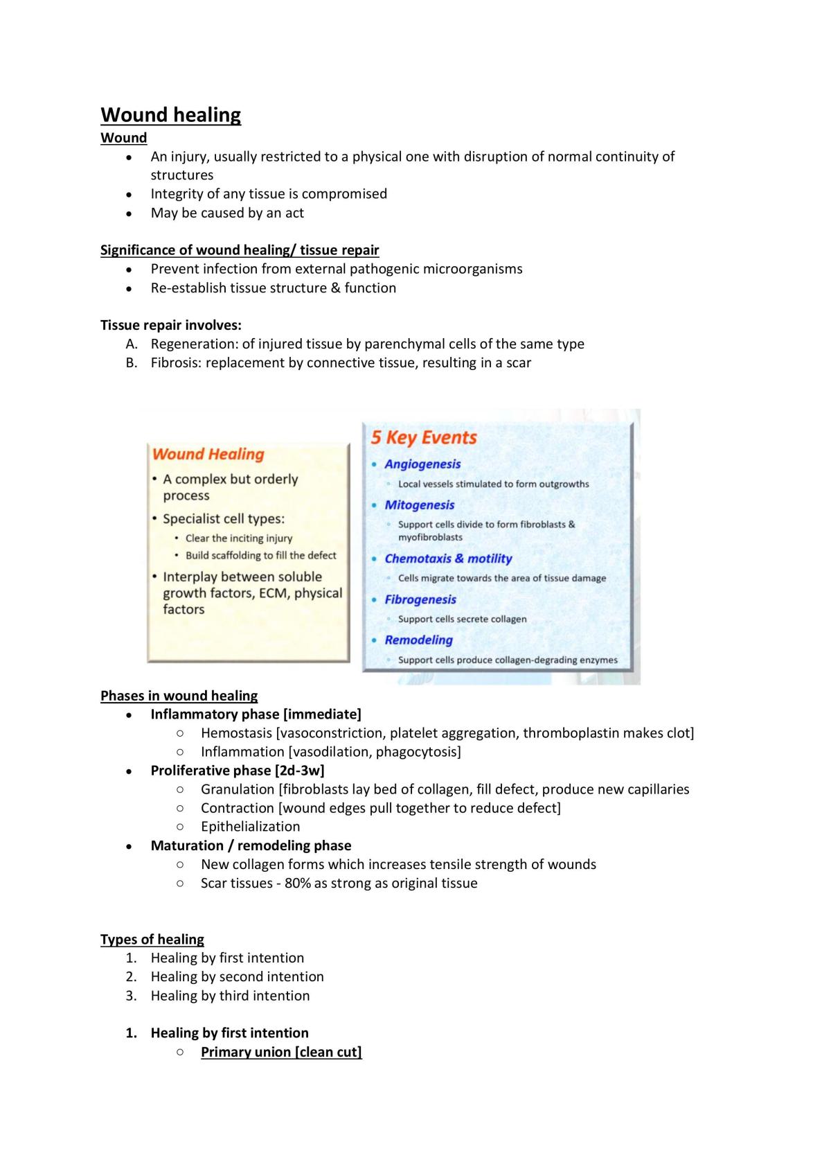 Bone Diseases - Page 20
