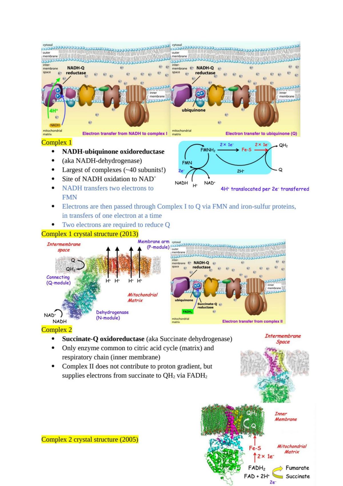 Biochemistry Notes - Page 82