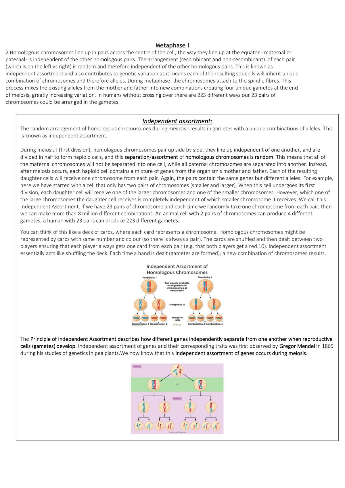 Ncea Level 2 Biology Genetic Variation Full Study Notes - Page 20