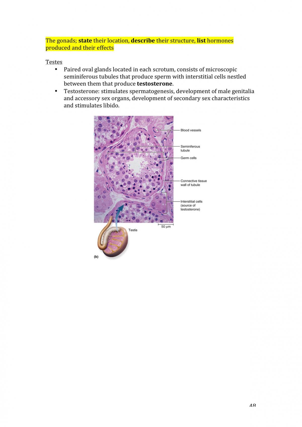 Study Notes Physiological Sciences 1 - Page 48
