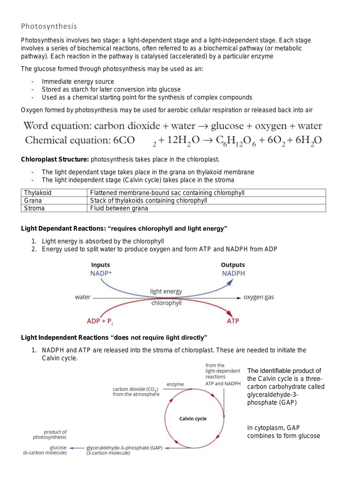 Unit 1 Biology Notes Review - Page 35