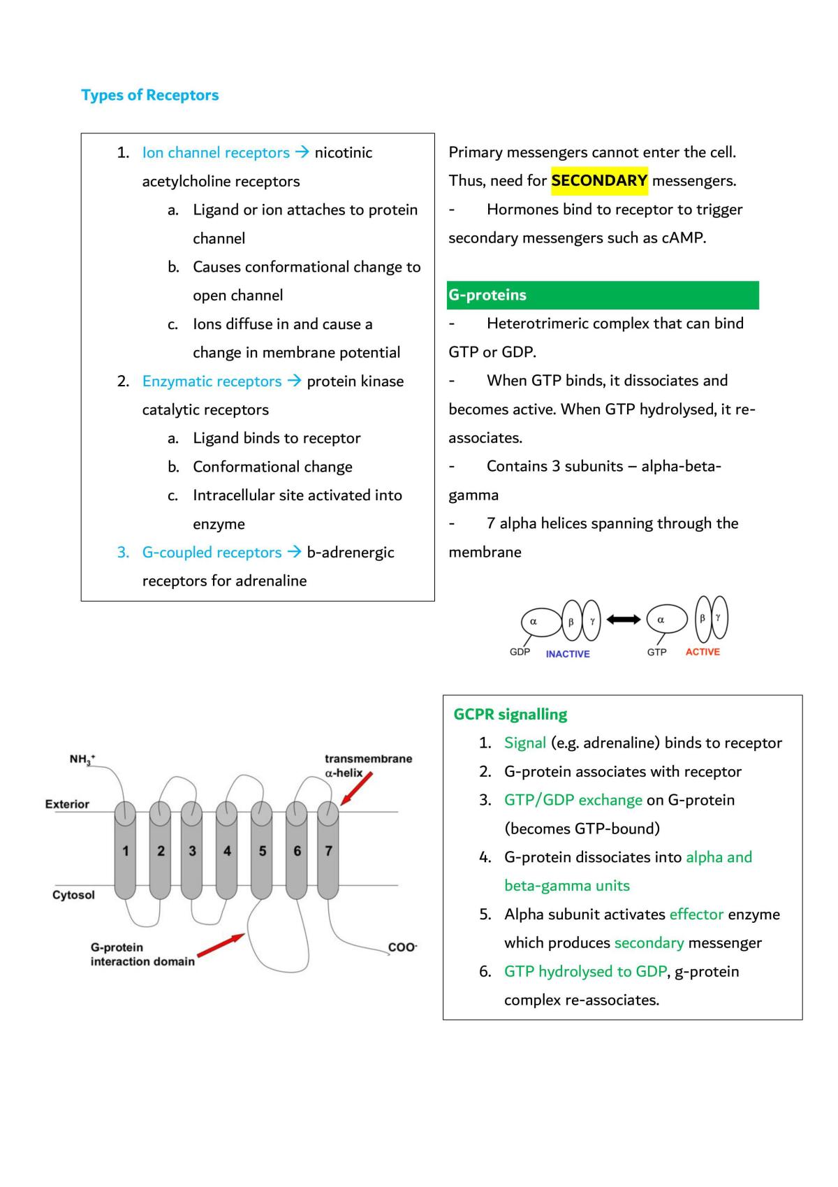 FMS - Cell Biology and Cell Signalling - Page 29