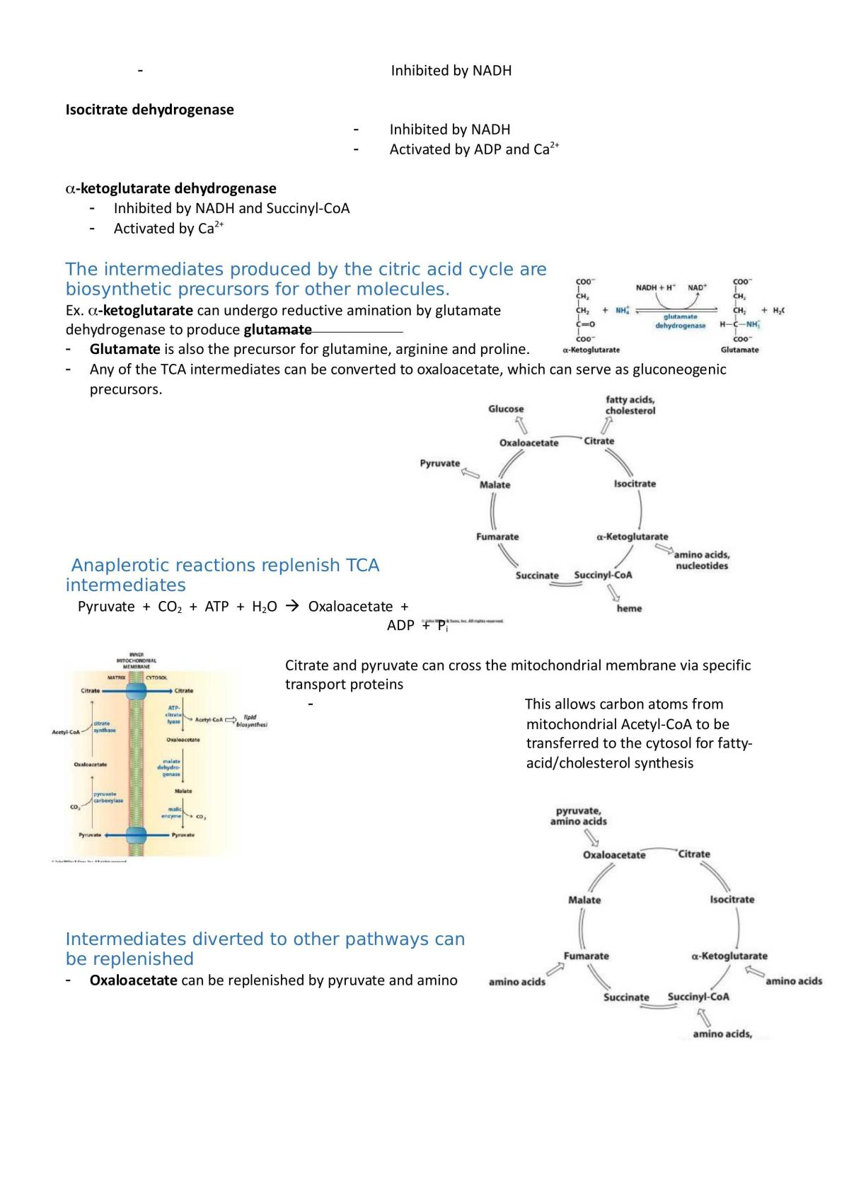 Introduction to Biochemistry Study Notes - Page 60