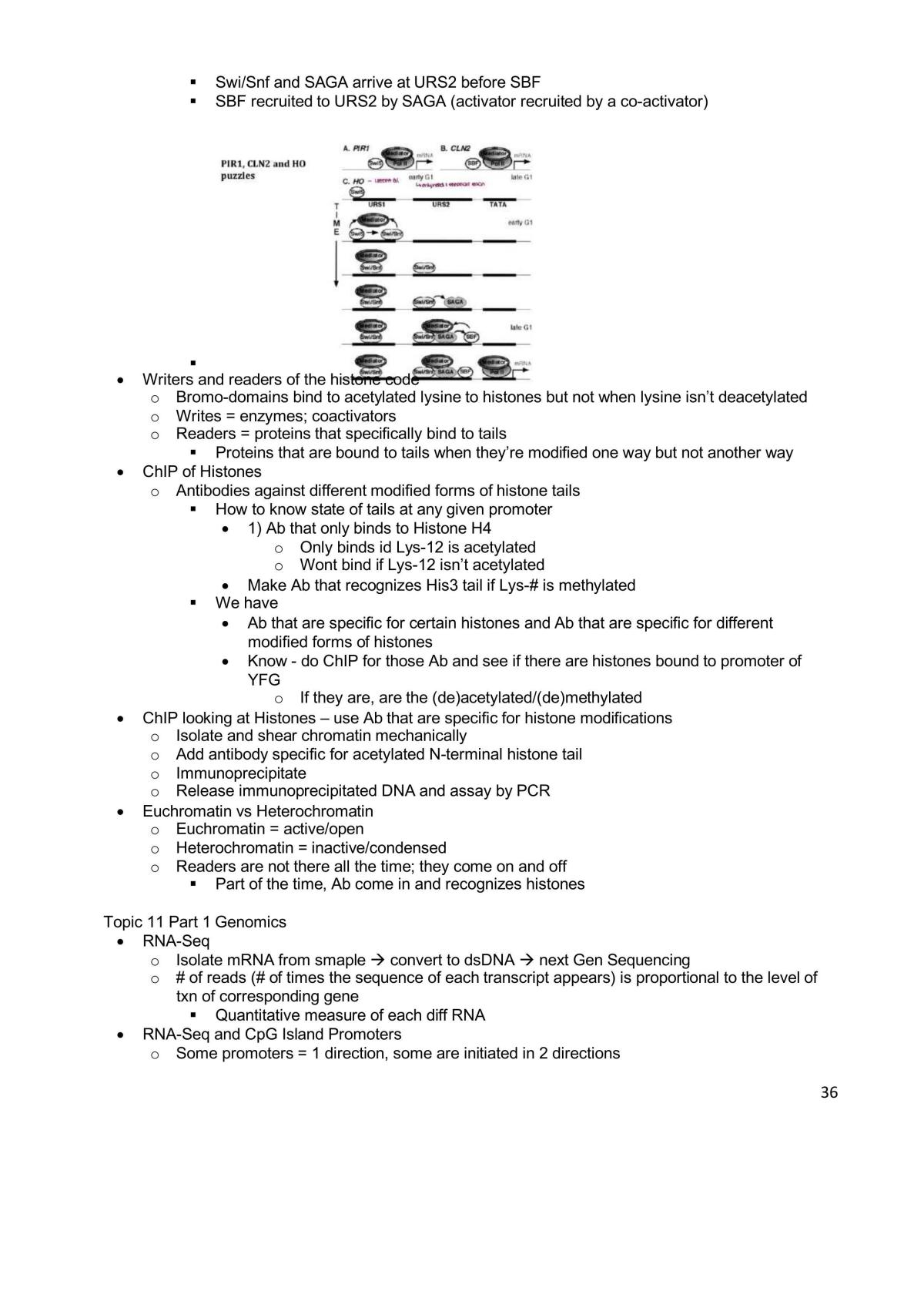 Genetics and Genomics Final Study Guide - Page 36