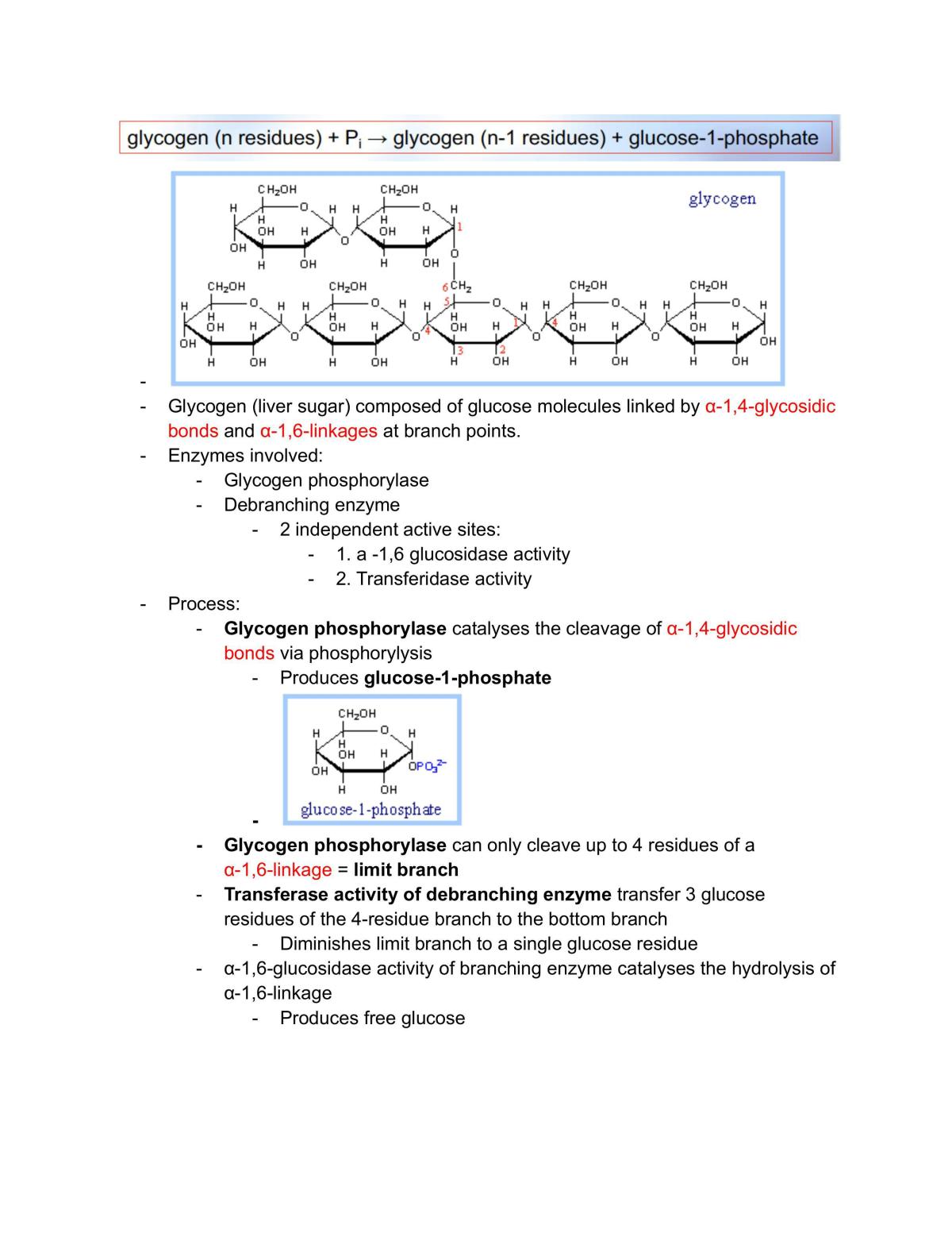 LSM1105/LSM2106  Fundamental Biochemistry Notes L9 - Page 16