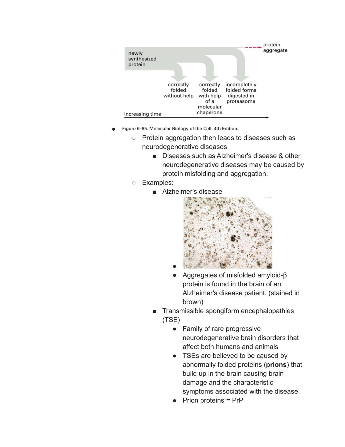 LSM1105/LSM2106  Fundamental Biochemistry Notes L4 - Page 18
