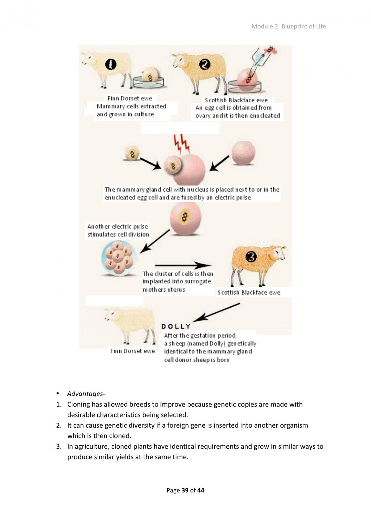 Blue Print Of Life Study Notes Biology HSC - Page 15