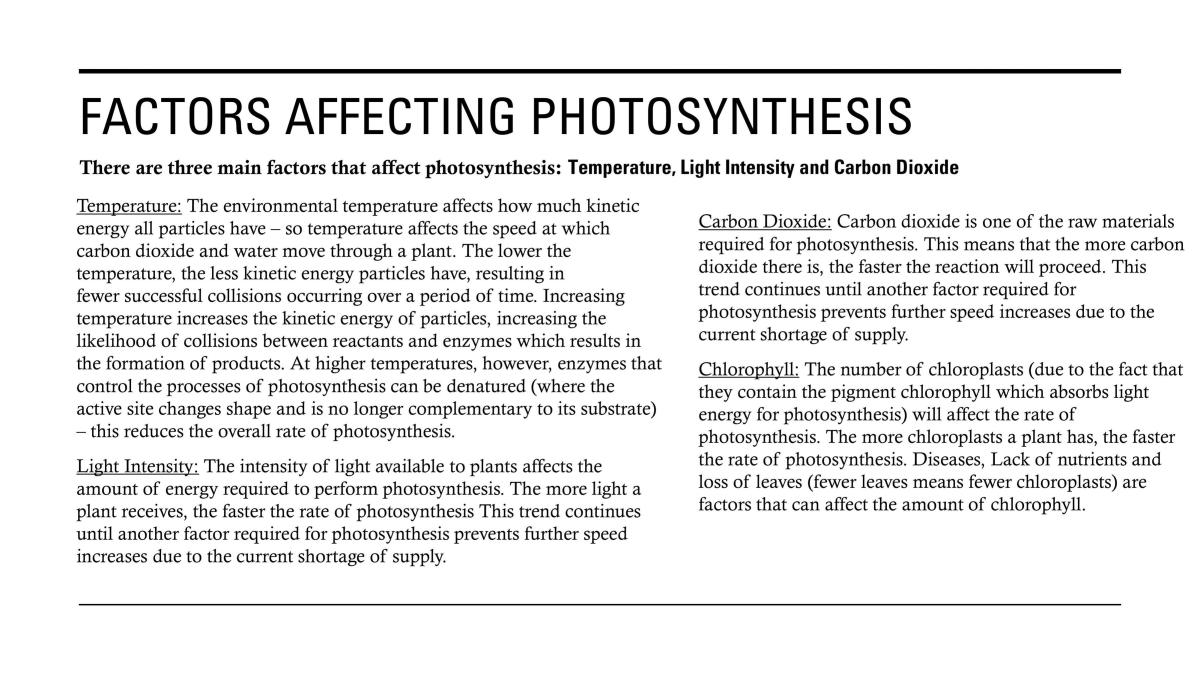 Photosynthesis - Page 8