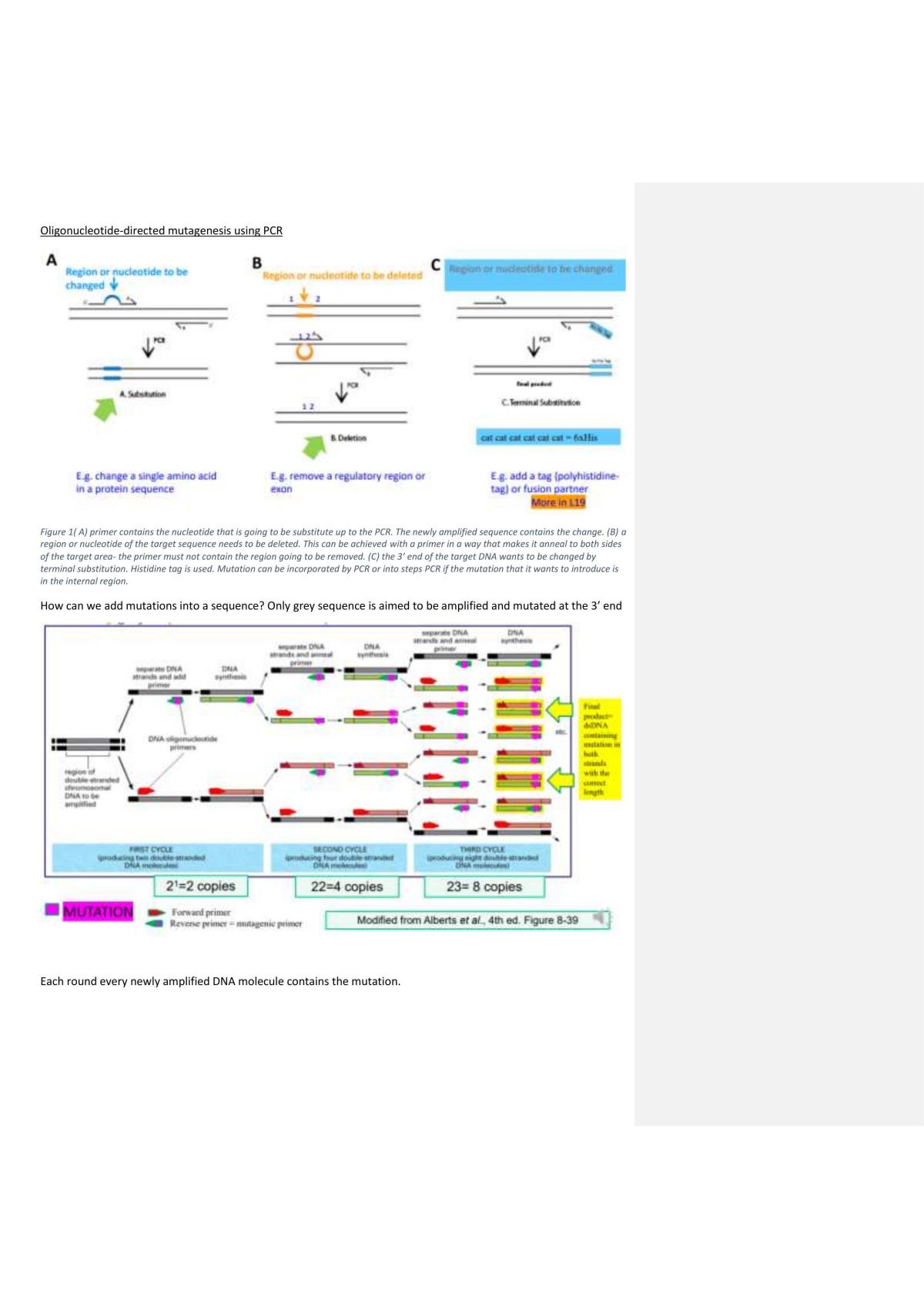 Recombinant BNA Technology: Full Notes on Genetic Engineering - Page 77
