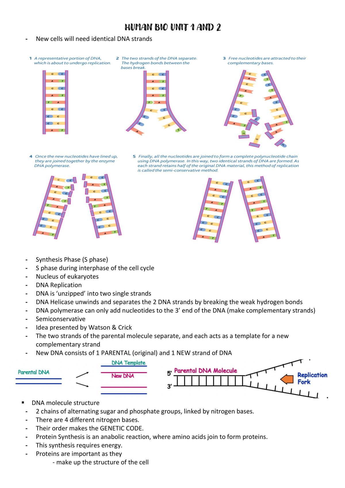 Human bio unit 1 and 2 - Page 33