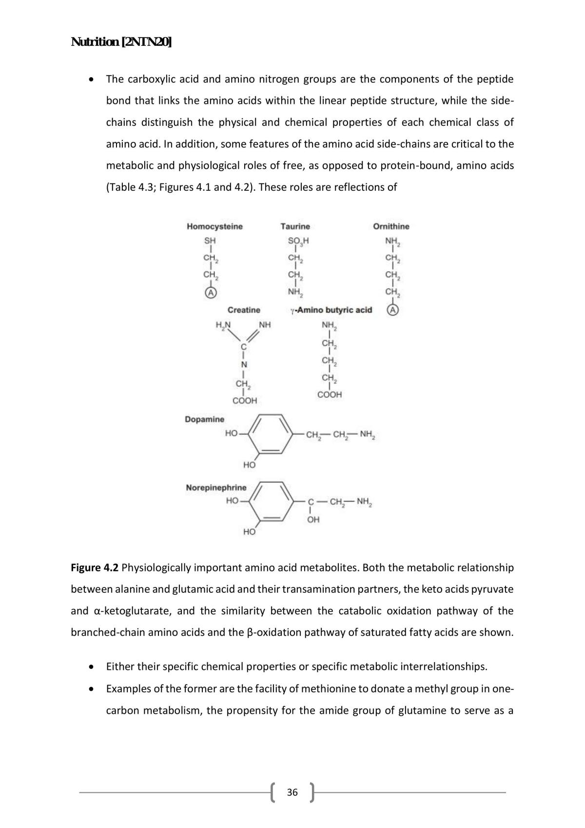 Nutrition Notes - Page 36