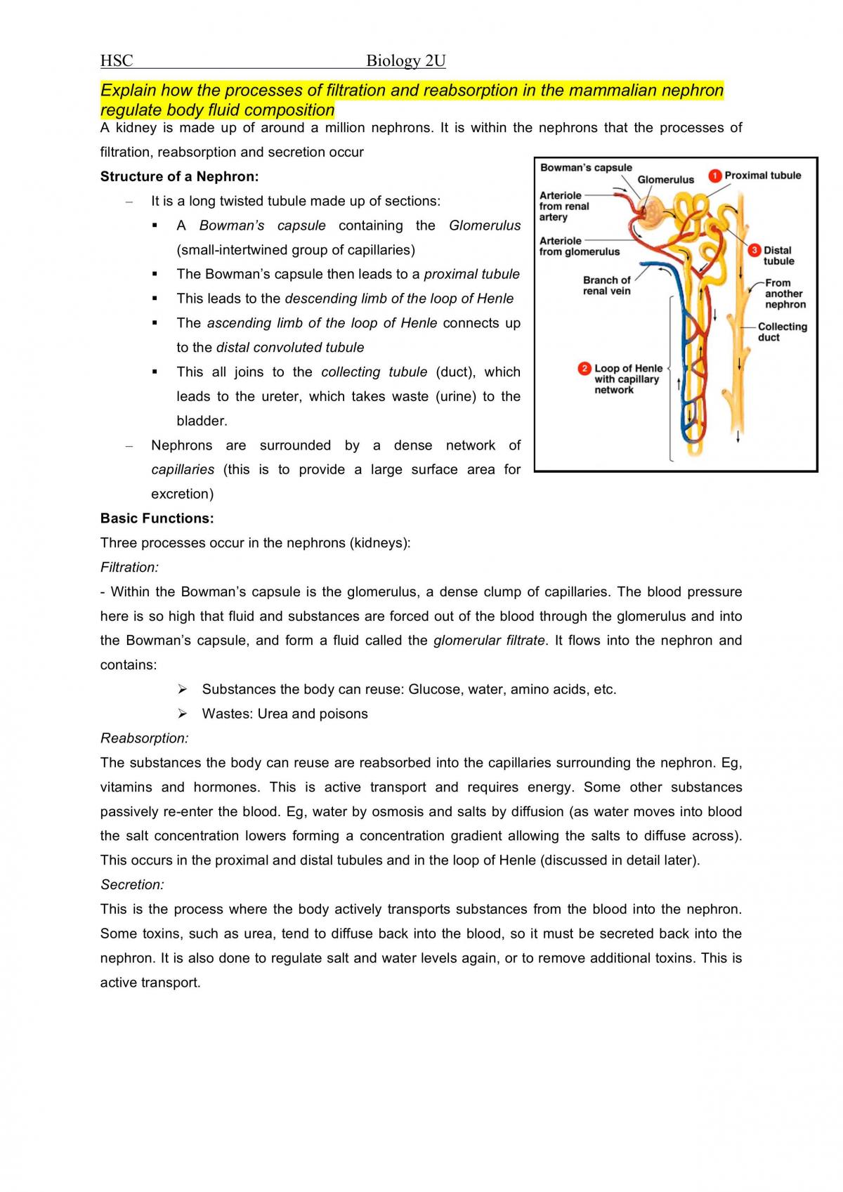 Maintaining a Balance- Biology Study Notes - Page 26