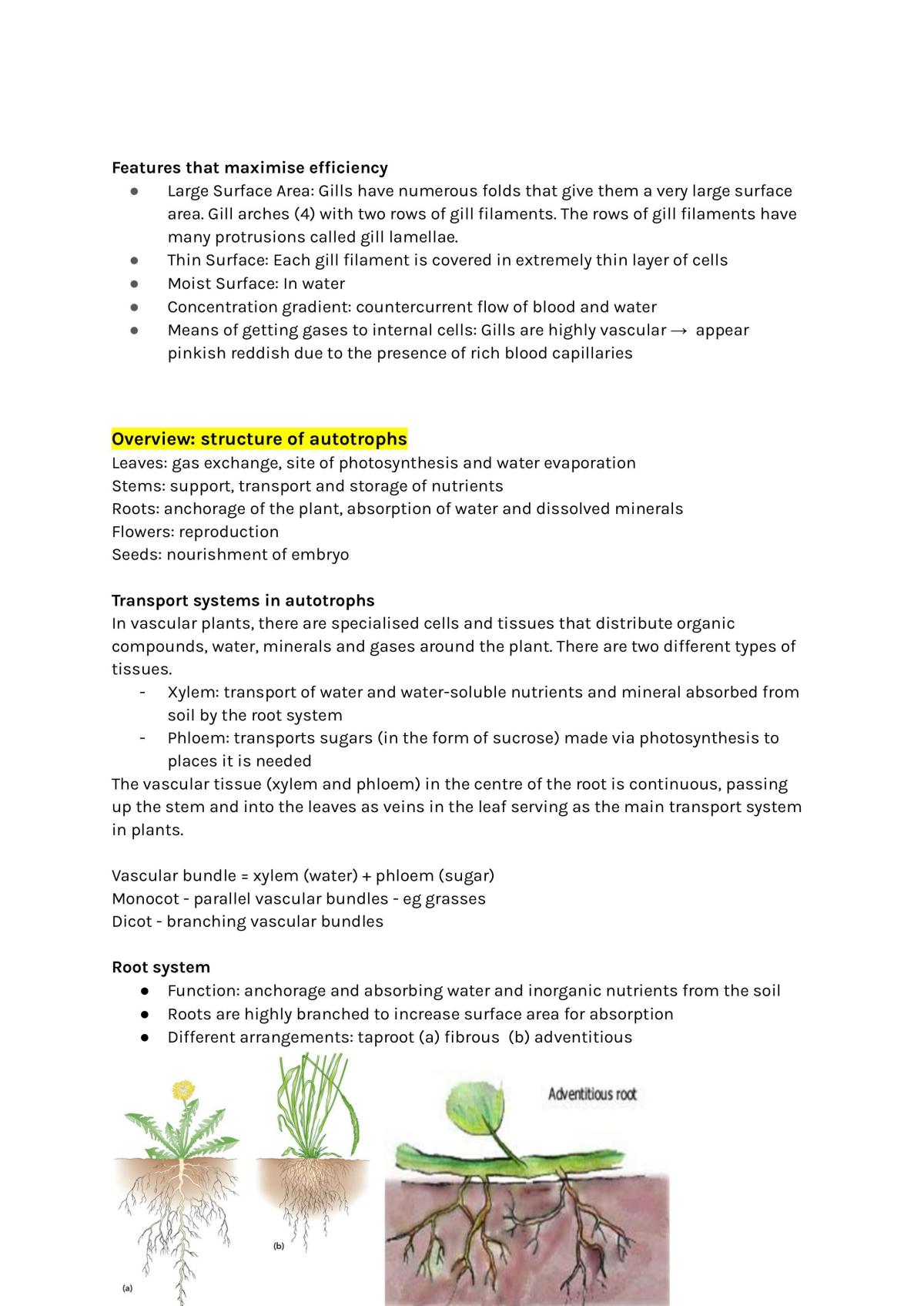 Year 11 preliminary bio notes - Page 38