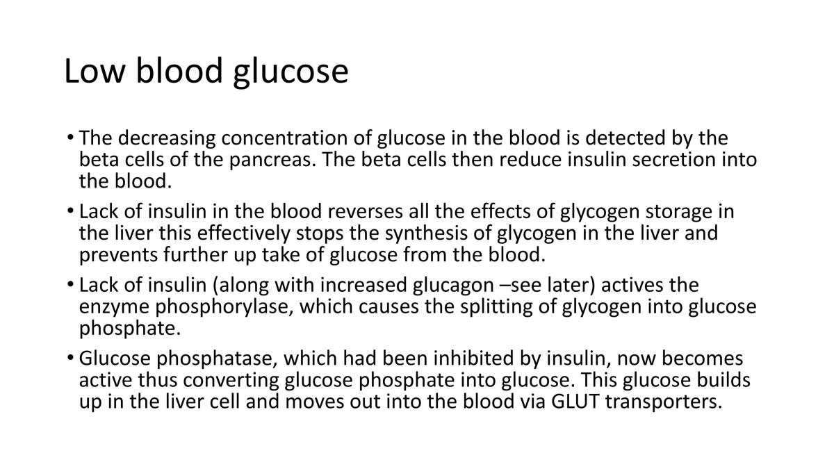 Homeostasis Glucose Regulation - Page 86