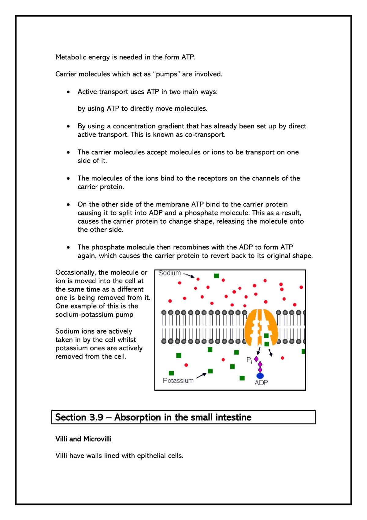 AS AQA biology - Page 29