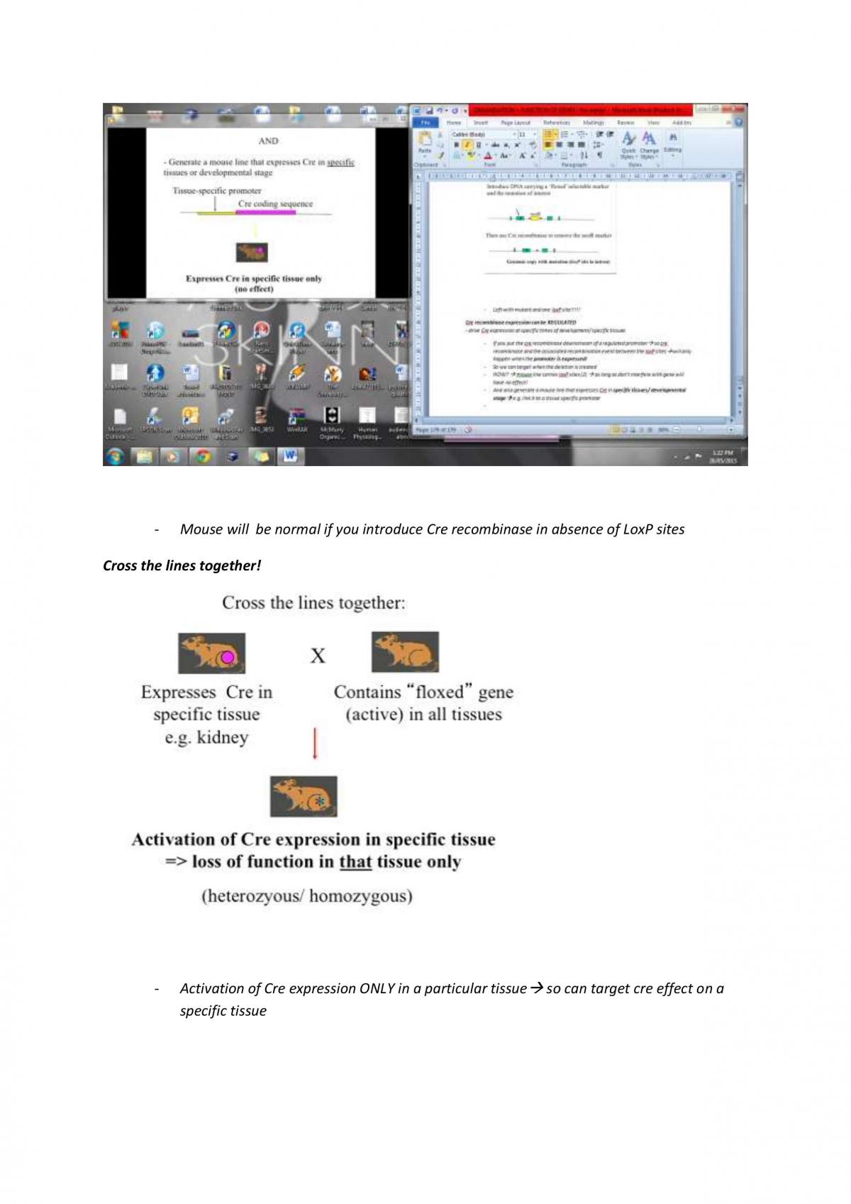 Genes: Organisation and Function in-depth notes - Page 181