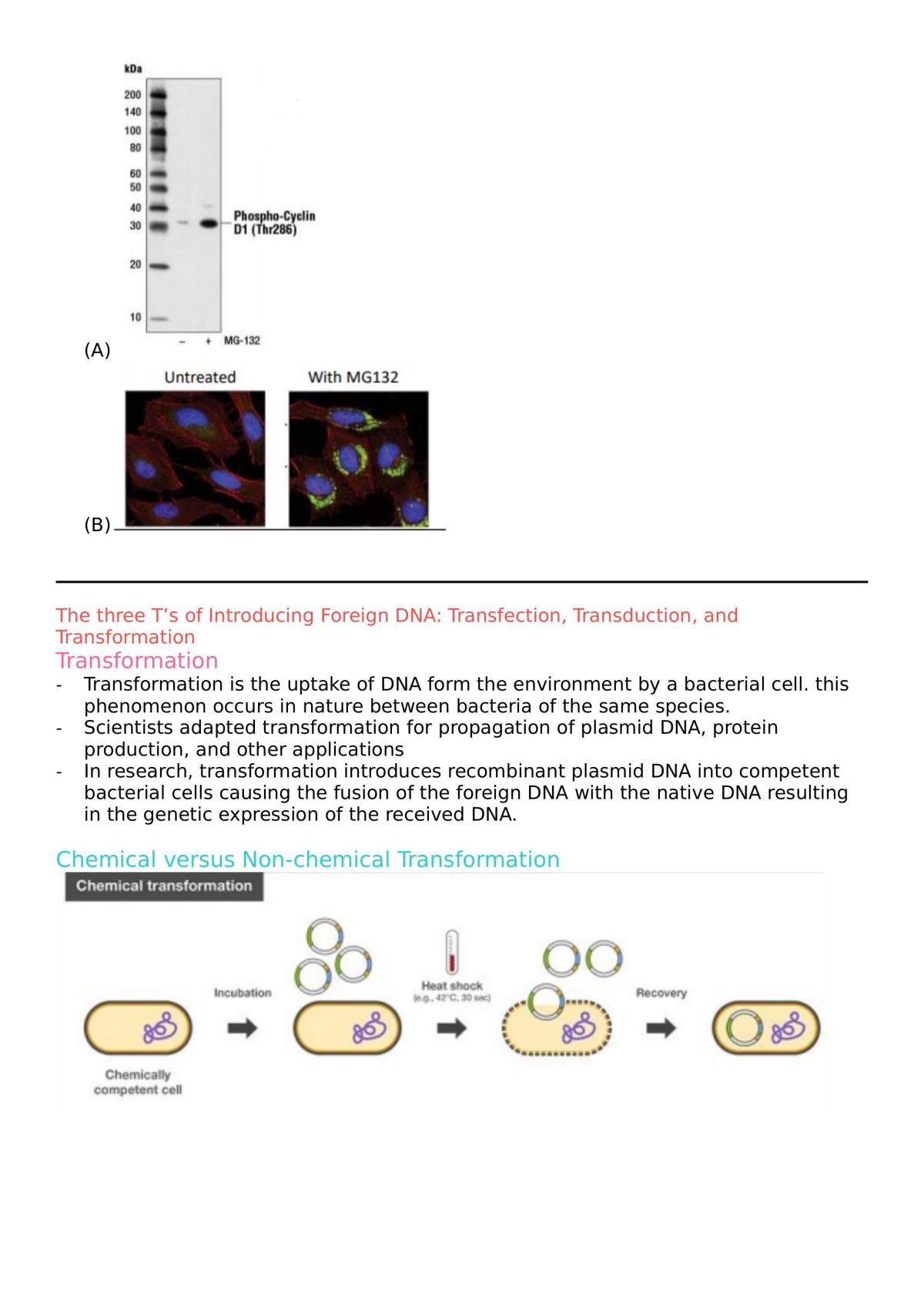 Advanced Molecular Techniques Notes - Page 35