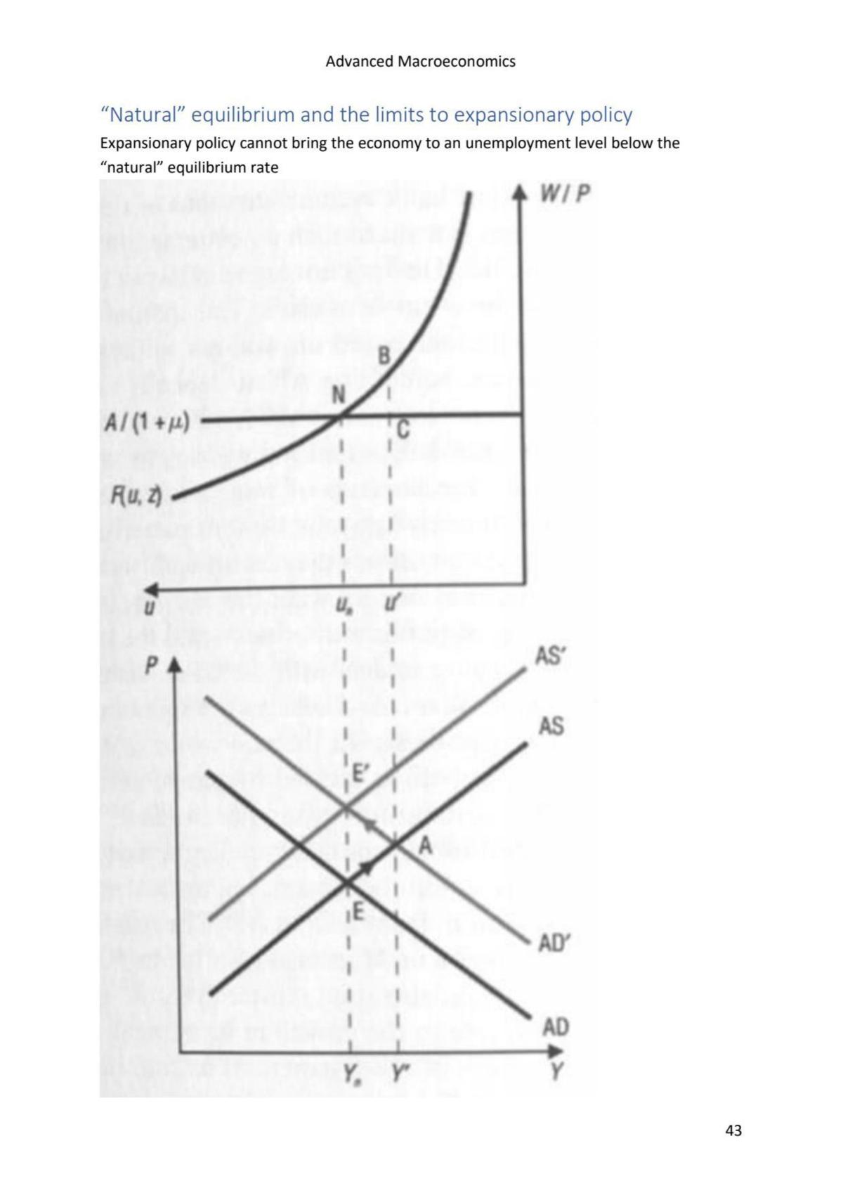 Advanced Macroeconomics Notes - Page 39