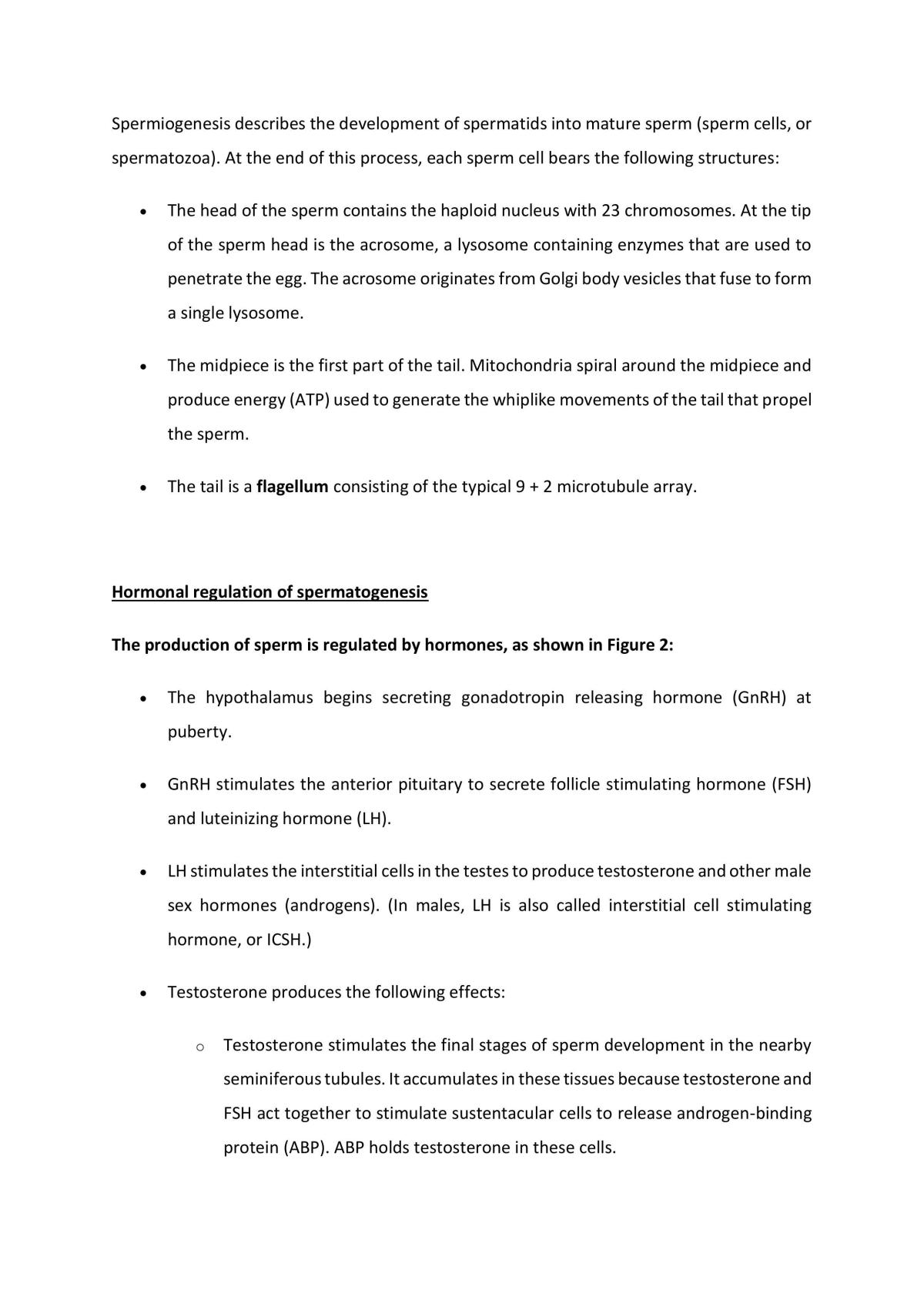 How the body Works Studies Notes - Page 36