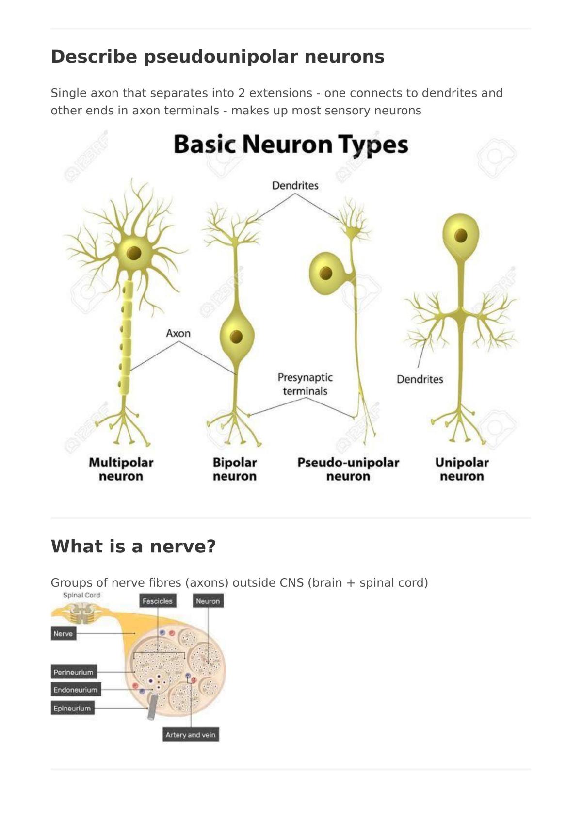 Human Biology complete Unit 3 WACE notes  - Page 84