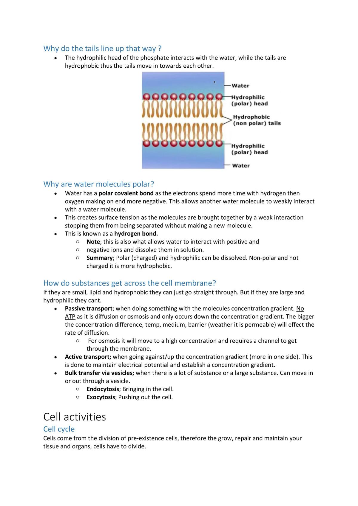 HUBS1406 complete topic notes - Page 12