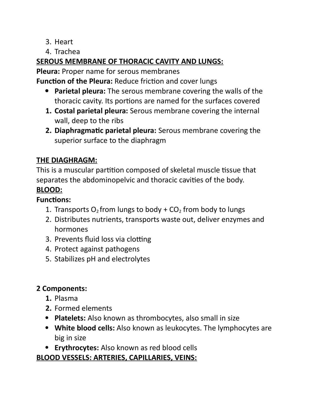 Human Anatomy Study Guide - Page 65