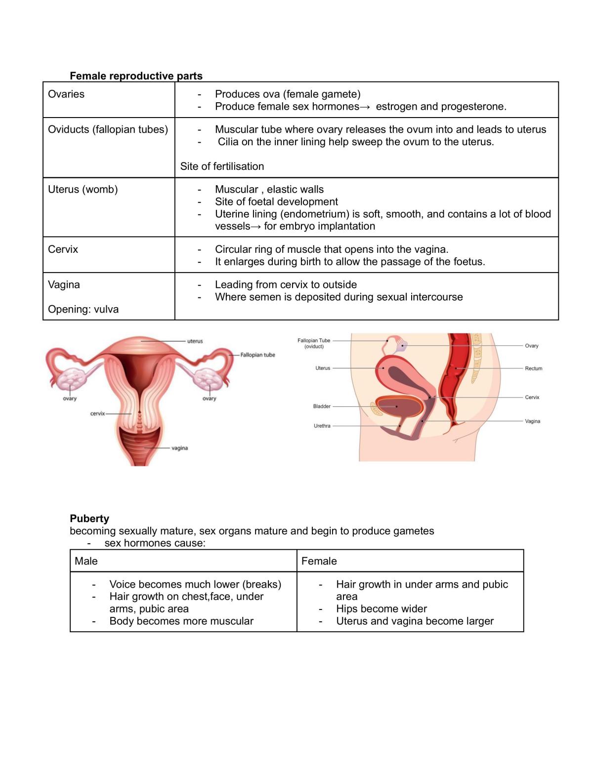 Biology H1 notes - Page 15