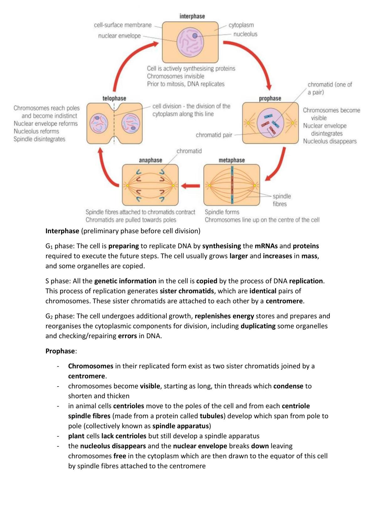 Movement of substances - Page 18