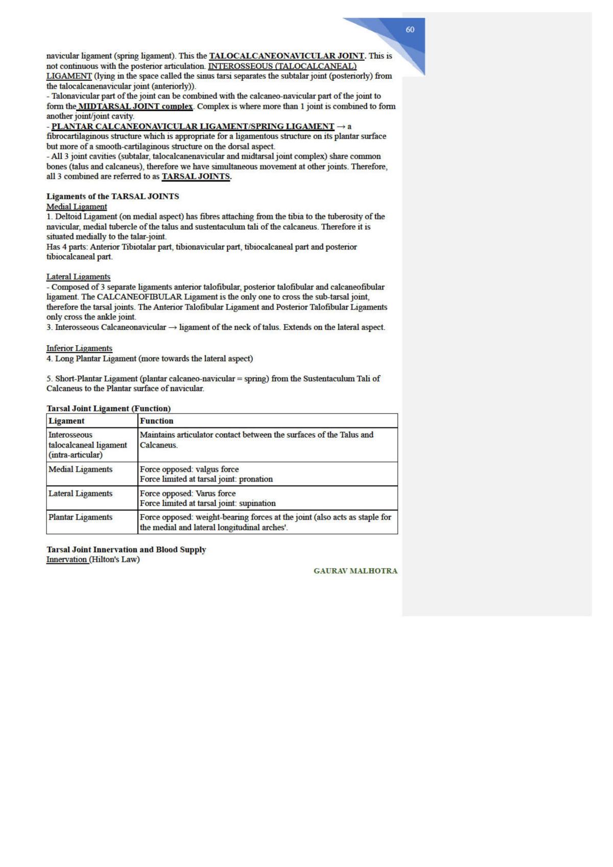 Anatomy Of Lower Limb & Trunk Study Notes - Page 60