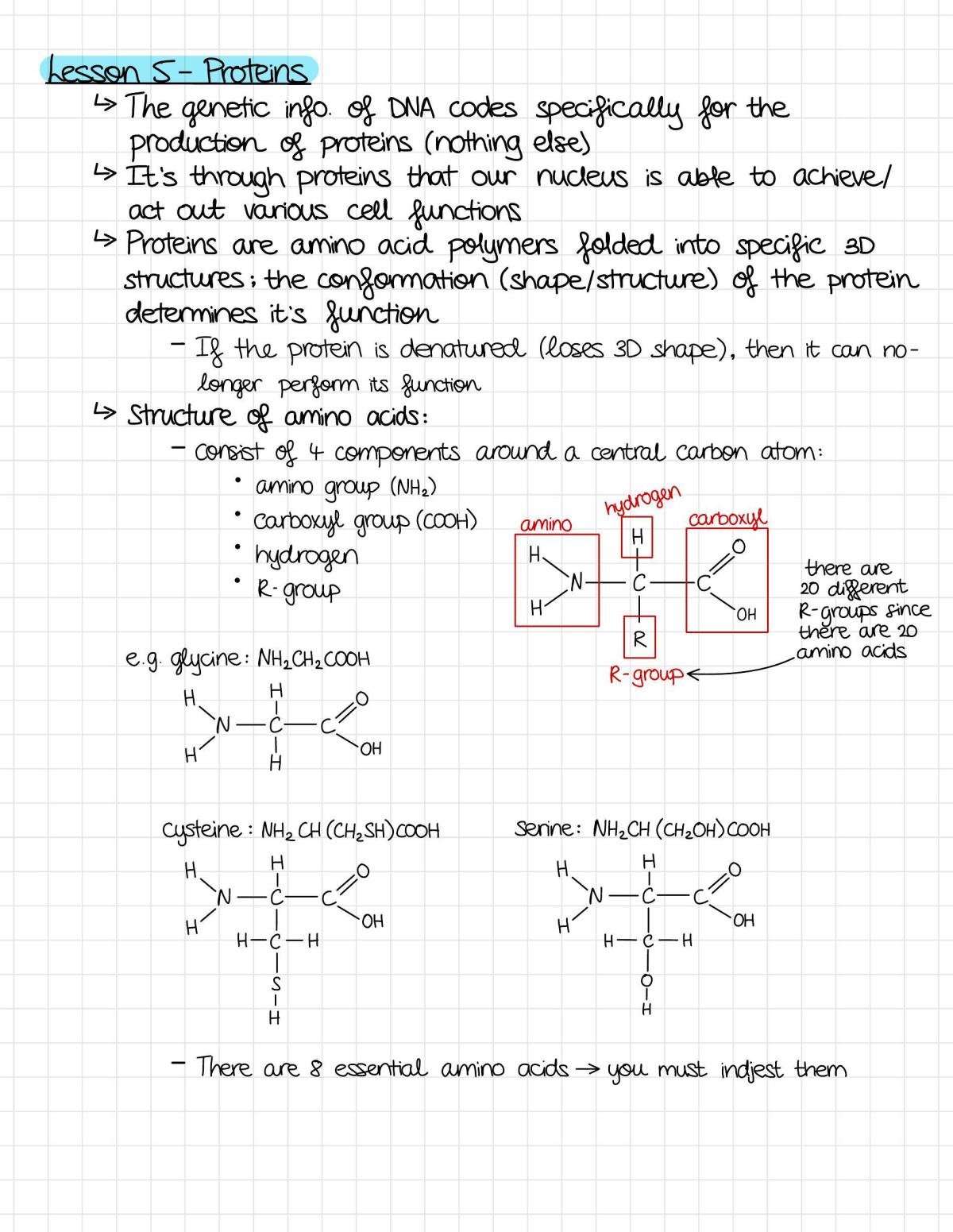 Biochemistry - part B - Page 26
