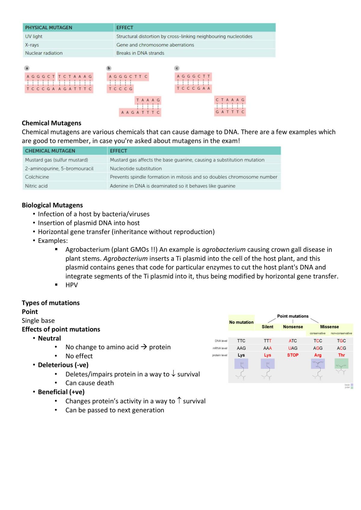 Unit 3 and 4 Biology - Page 36