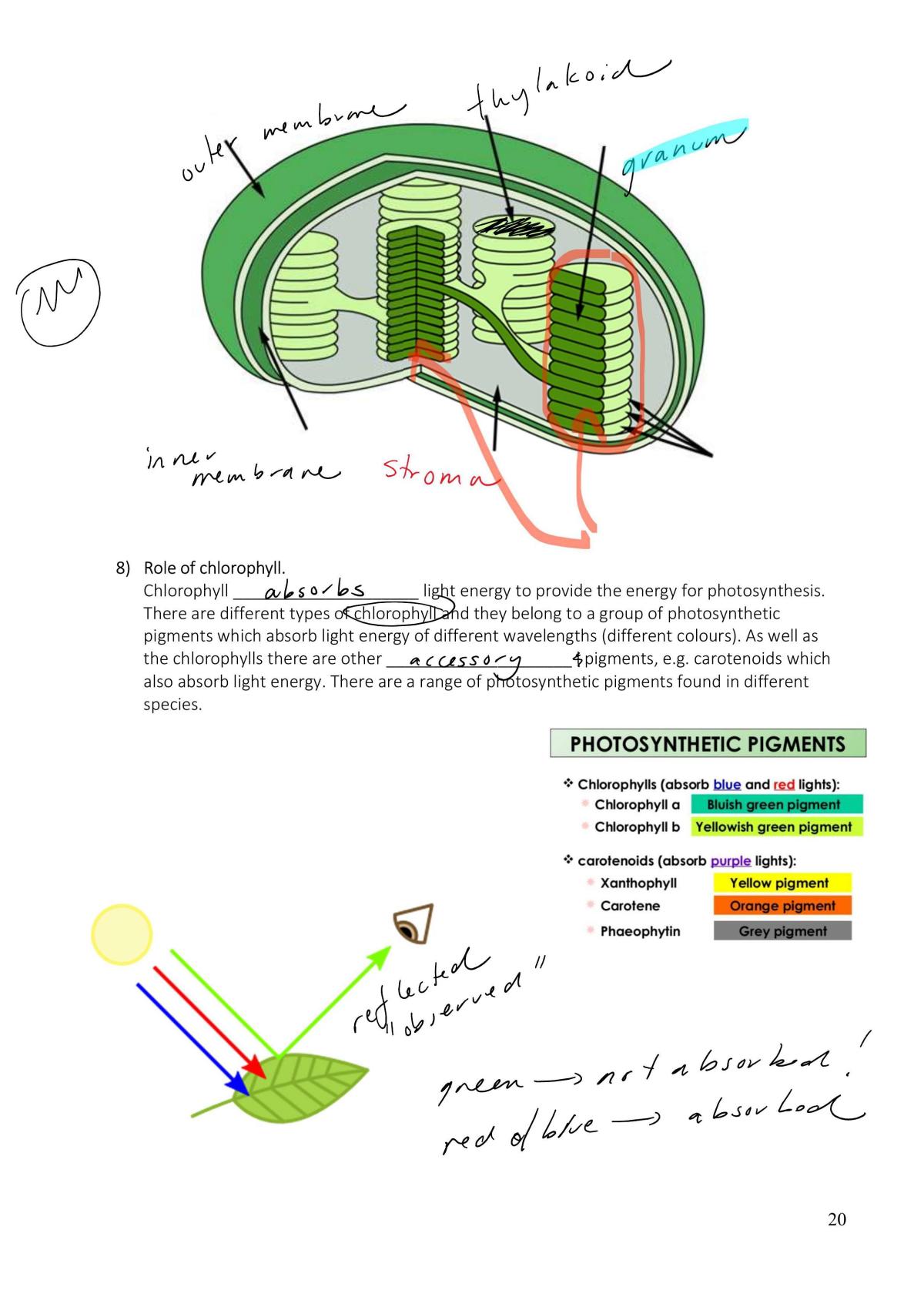 Energy - Page 20