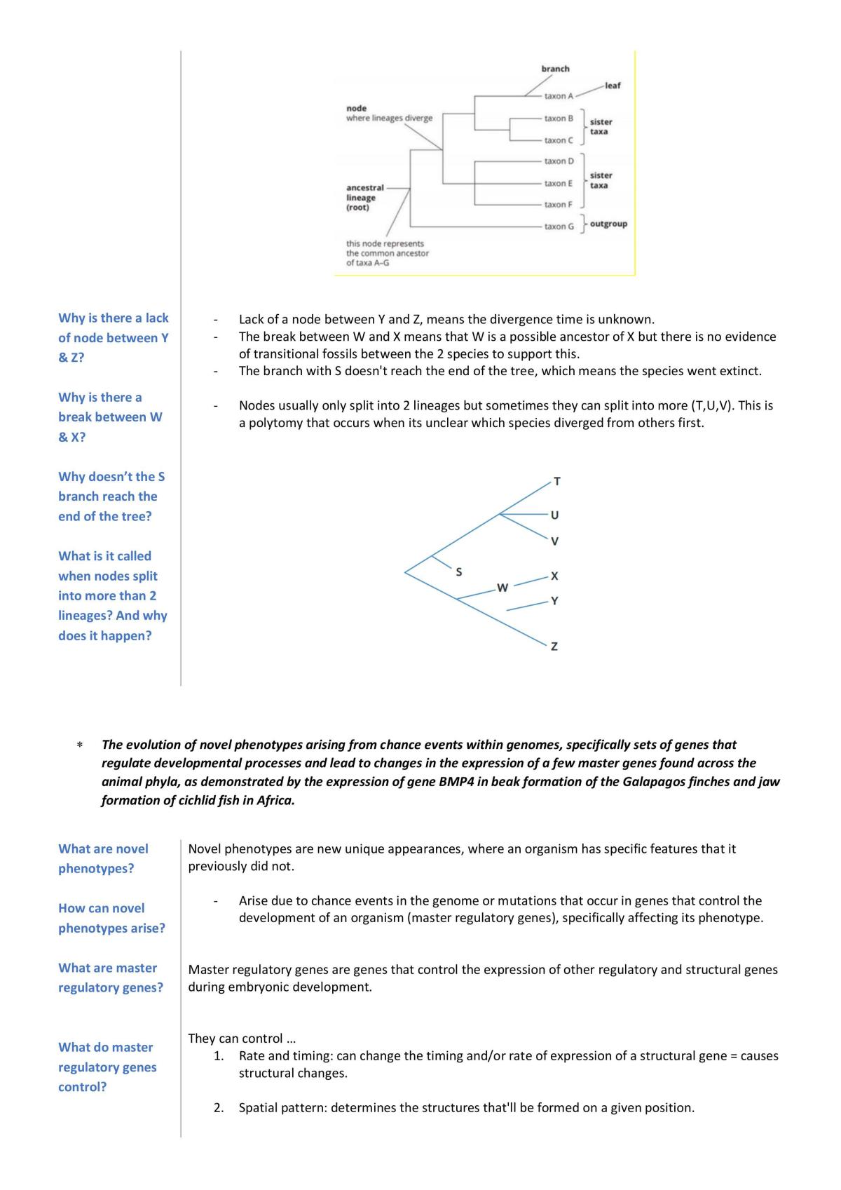 VCE 3/4 Biology Notes - Page 57