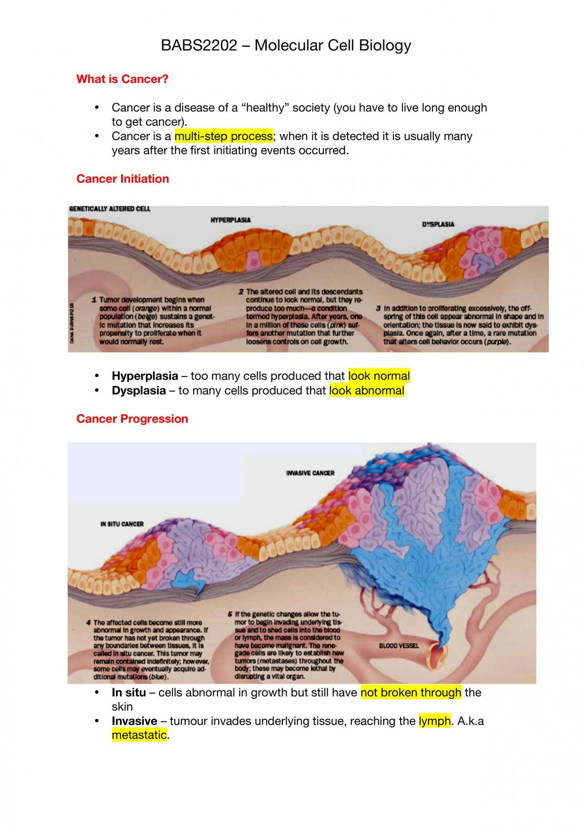 Study Notes for BABS2202 - Page 42