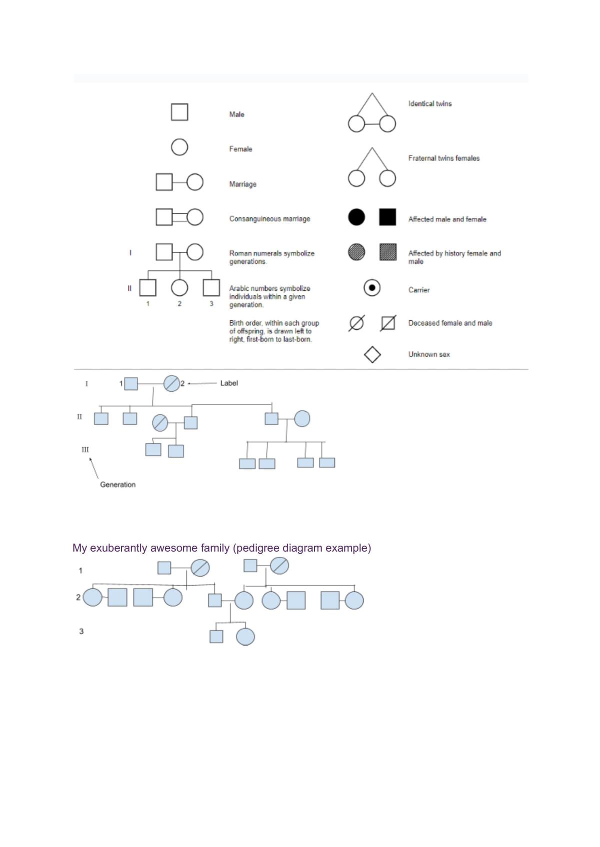In Depth Touch on Biology - Page 10