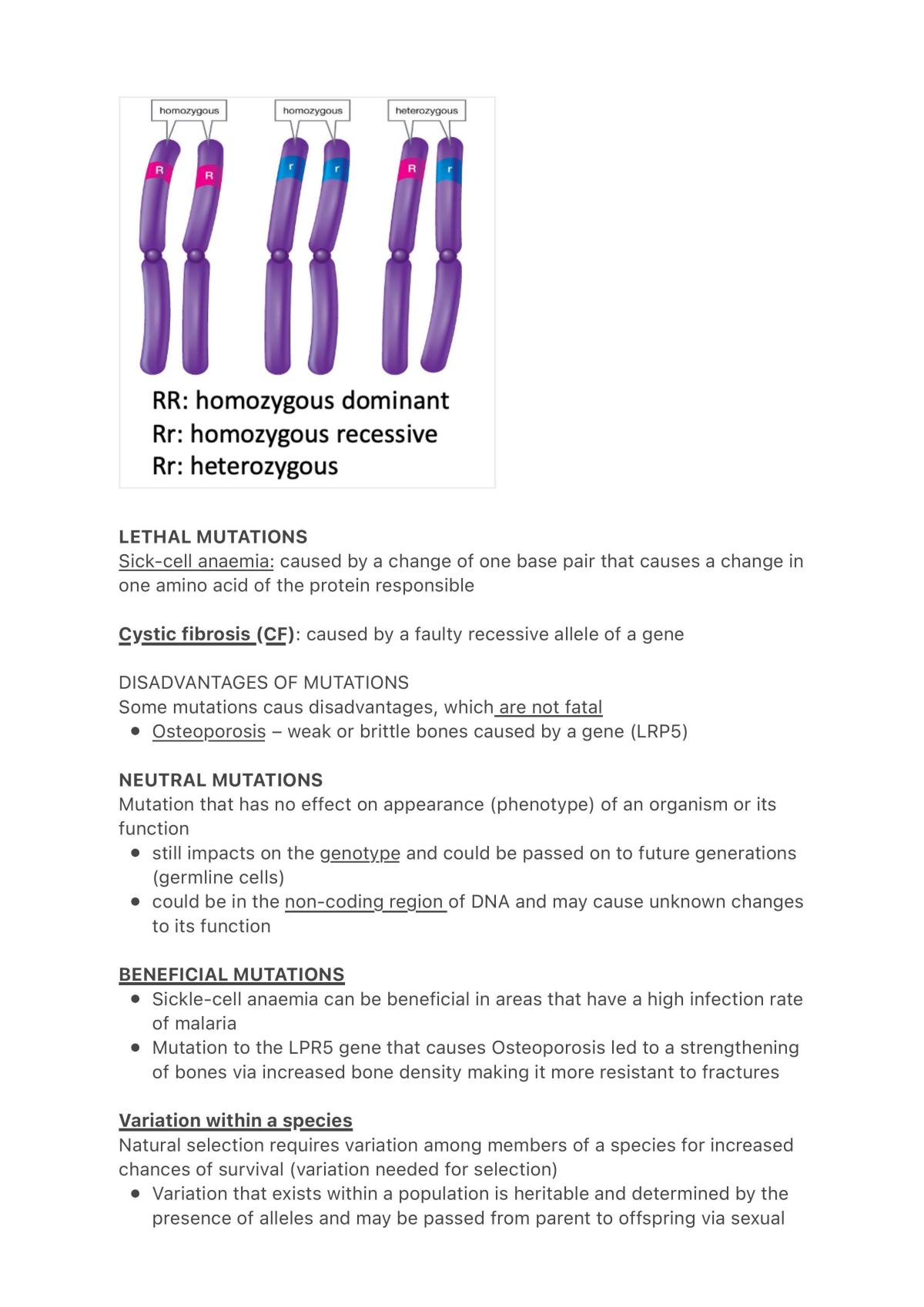 Sace Stage 2 Biology Study Notes - Page 16