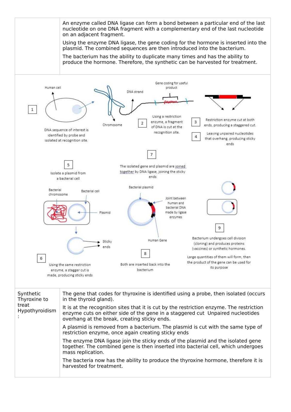 Human Biology ATAR Notes - Page 26