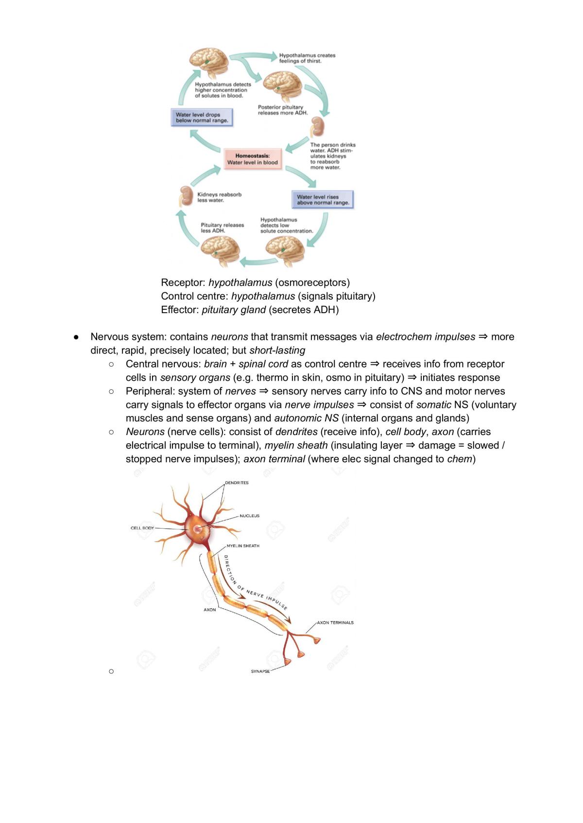 Detailed Full Bio Notes - Page 39