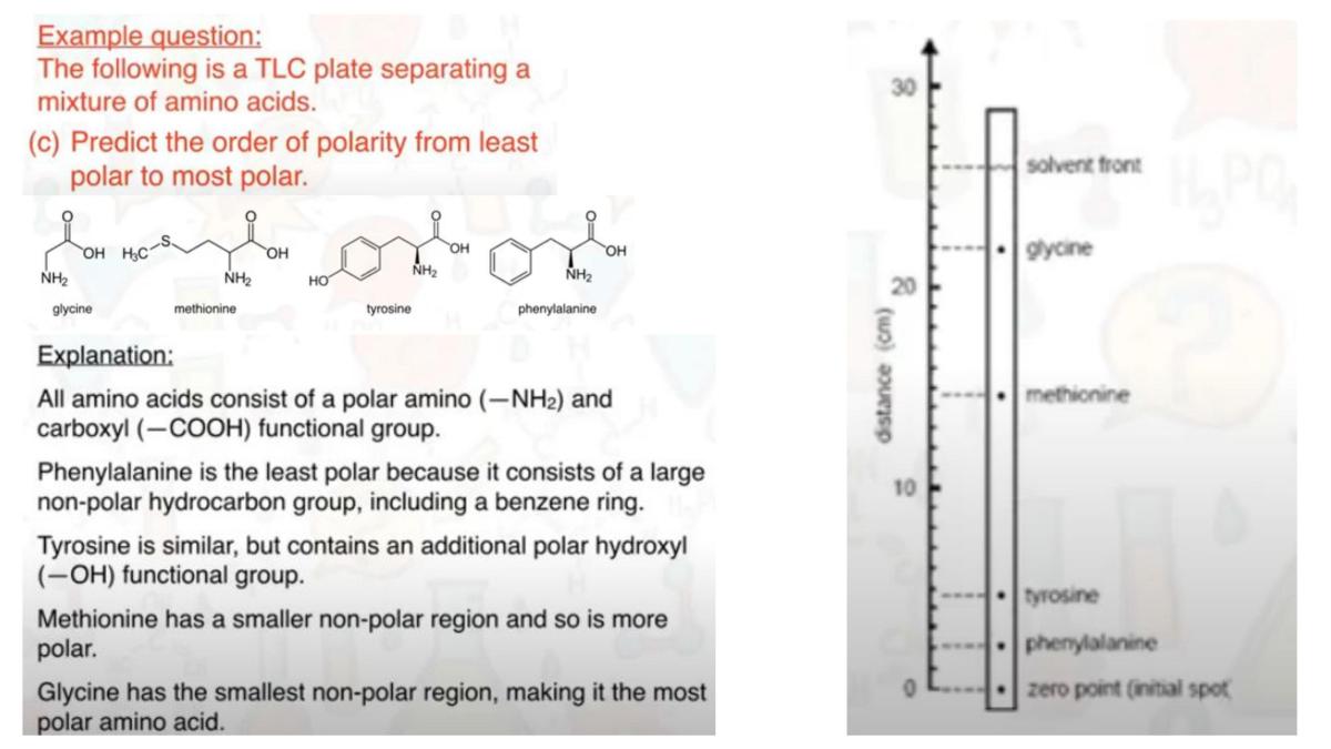 Chromatography - Page 19