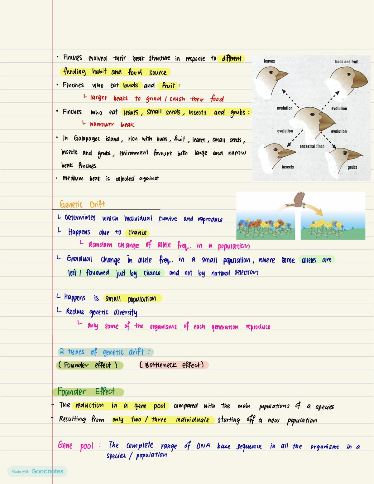 A-Level Biology Notes  - Page 30