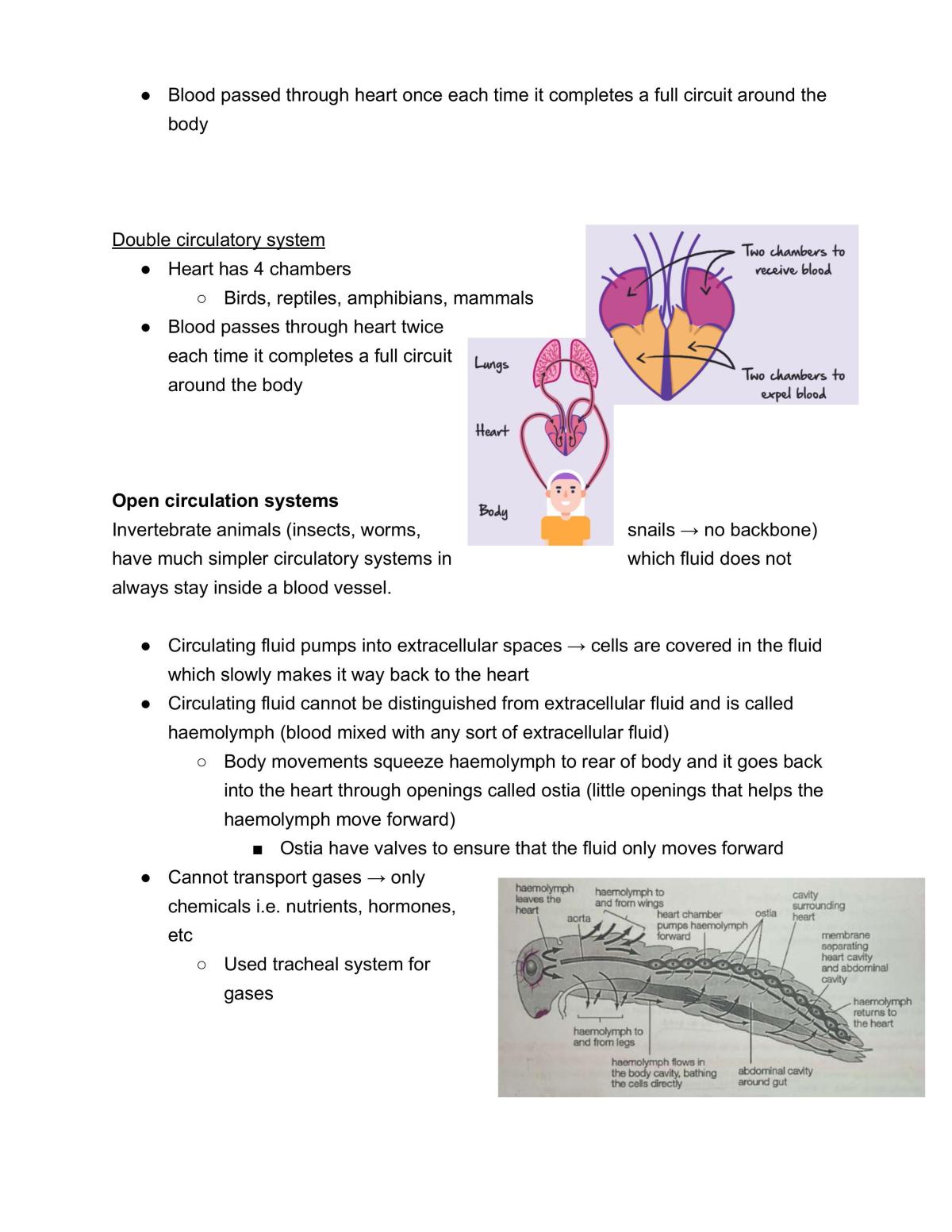 Bio Mod 2 Notes - Page 23
