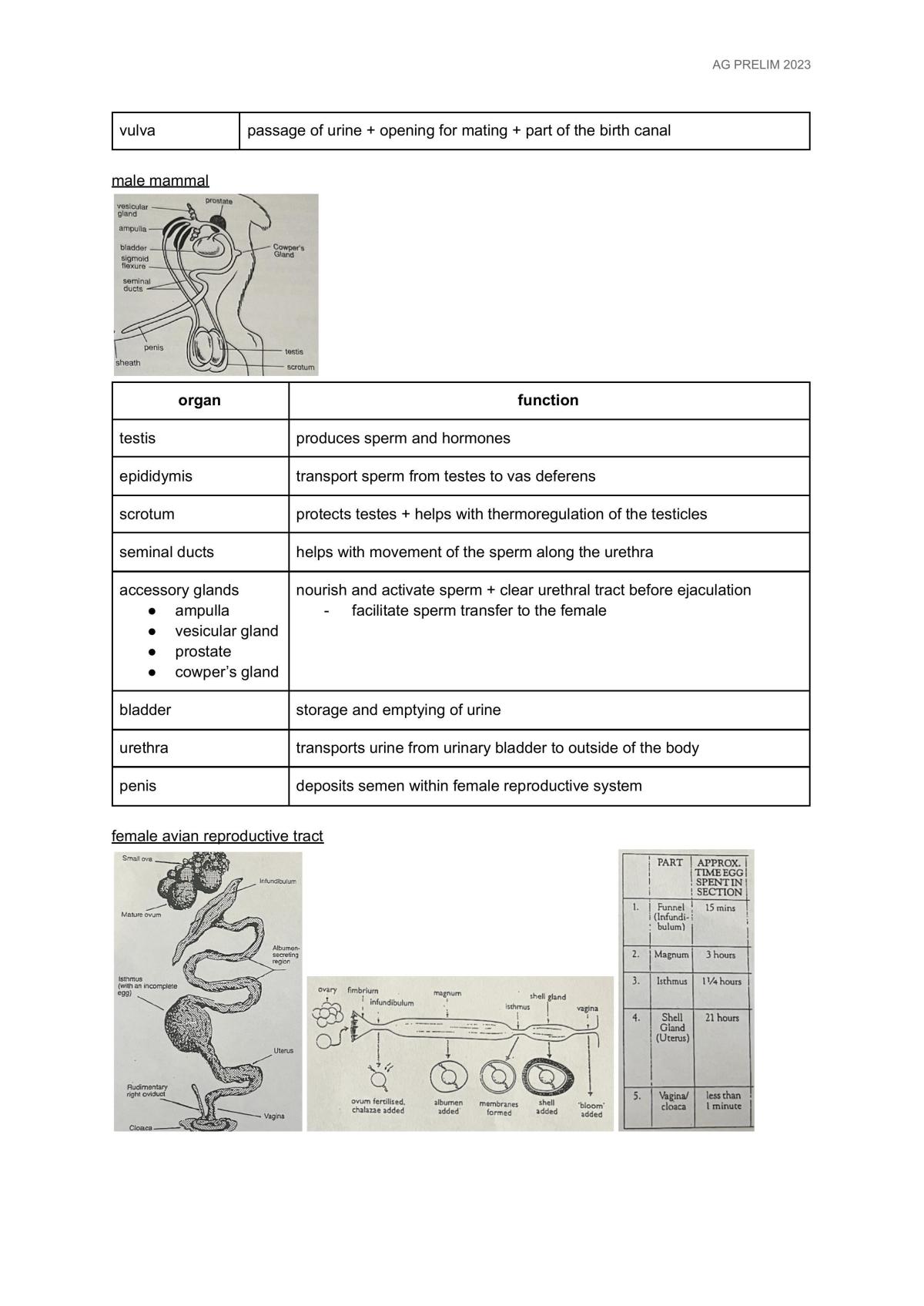 Preliminary Agriculture Notes - Page 19