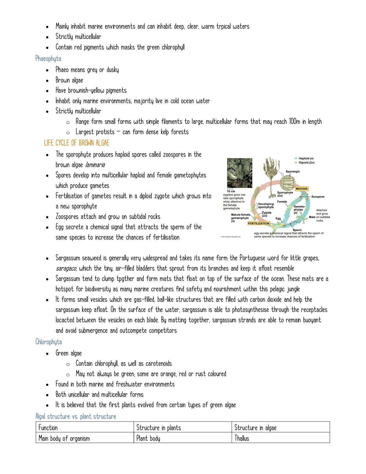 Microkingdom Full Notes - Page 15