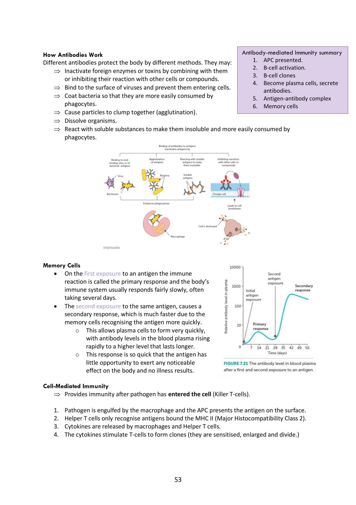 Unit 3 Human Biology - Page 53
