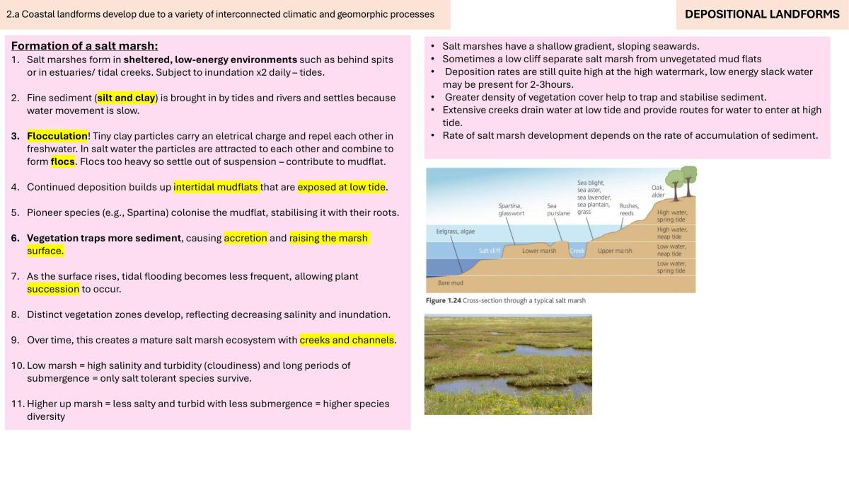 Entire Coasts Topic Revision  - Page 24